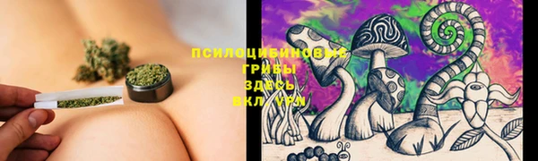 круглые Нягань