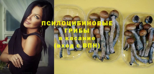 мдпв Няндома