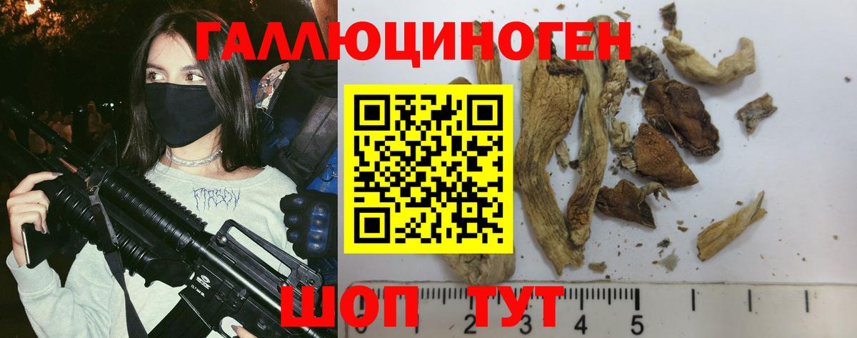 Псилоцибиновые грибы Cubensis Красноуфимск